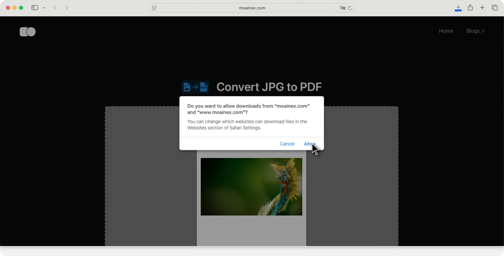 Safari asking permission to allow downloads from Moainex